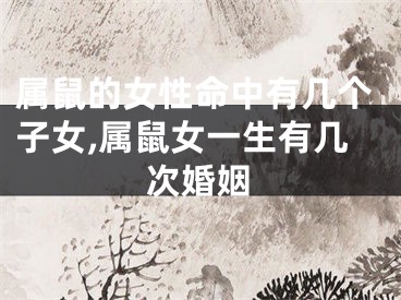 属鼠的女性命中有几个子女,属鼠女一生有几次婚姻