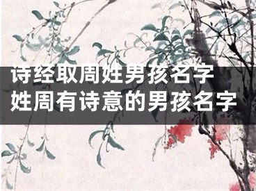诗经取周姓男孩名字