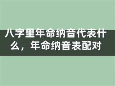 八字里年命纳音代表什么，年命纳音表配对