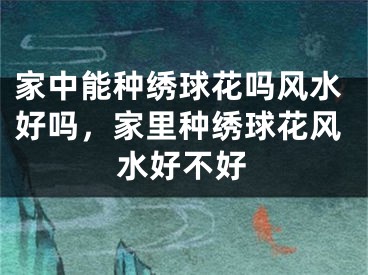 家中能种绣球花吗风水好吗，家里种绣球花风水好不好