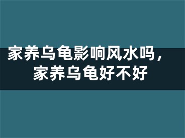 家养乌龟影响风水吗，家养乌龟好不好