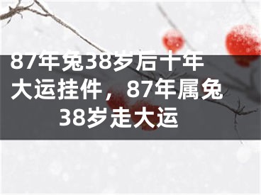 87年兔38岁后十年大运挂件，87年属兔38岁走大运