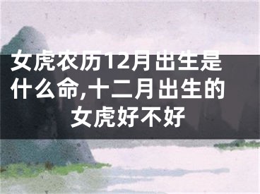 女虎农历12月出生是什么命,十二月出生的女虎好不好
