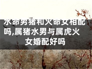 水命男猪和火命女相配吗,属猪水男与属虎火女婚配好吗