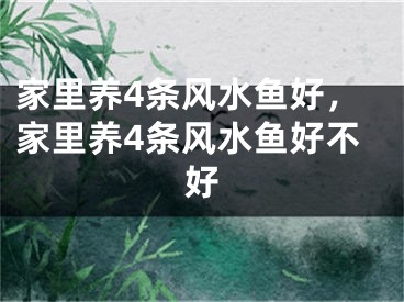 家里养4条风水鱼好，家里养4条风水鱼好不好