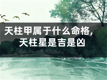 天柱甲属于什么命格,天柱星是吉是凶