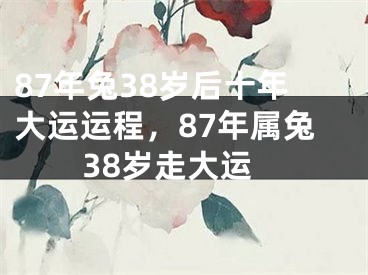 87年兔38岁后十年大运运程，87年属兔38岁走大运