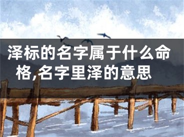 泽标的名字属于什么命格,名字里泽的意思