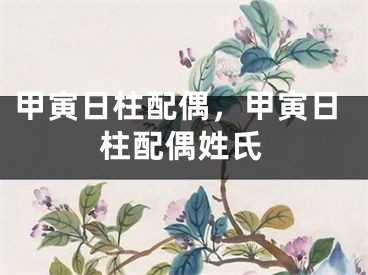 甲寅日柱配偶，甲寅日柱配偶姓氏