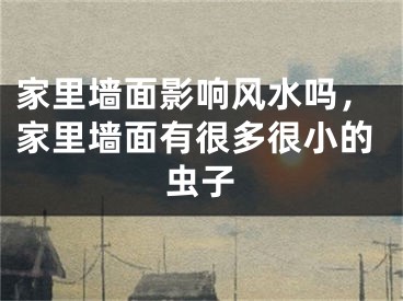 家里墙面影响风水吗，家里墙面有很多很小的虫子