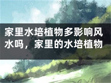 家里水培植物多影响风水吗，家里的水培植物