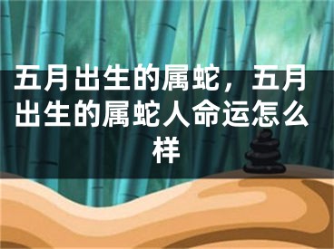 五月出生的属蛇，五月出生的属蛇人命运怎么样