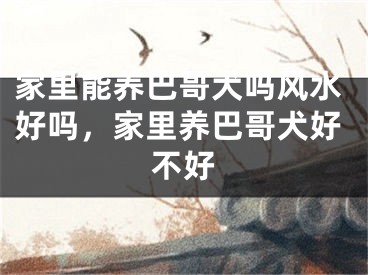 家里能养巴哥犬吗风水好吗，家里养巴哥犬好不好