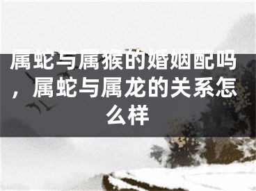 属蛇与属猴的婚姻配吗，属蛇与属龙的关系怎么样