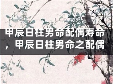 甲辰日柱男命配偶寿命，甲辰日柱男命之配偶