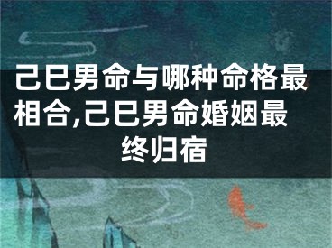 己巳男命与哪种命格最相合,己巳男命婚姻最终归宿