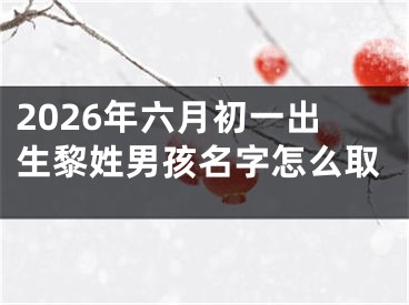 2026年六月初一出生黎姓男孩名字怎么取