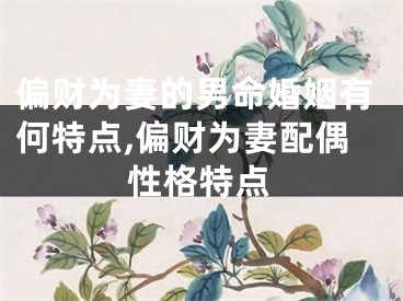 偏财为妻的男命婚姻有何特点,偏财为妻配偶性格特点