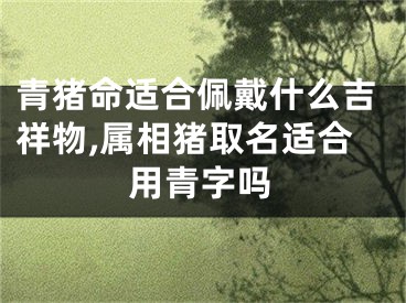 青猪命适合佩戴什么吉祥物,属相猪取名适合用青字吗