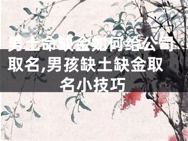 男土命缺金如何给公司取名,男孩缺土缺金取名小技巧