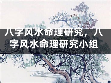八字风水命理研究，八字风水命理研究小组