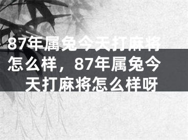 87年属兔今天打麻将怎么样，87年属兔今天打麻将怎么样呀
