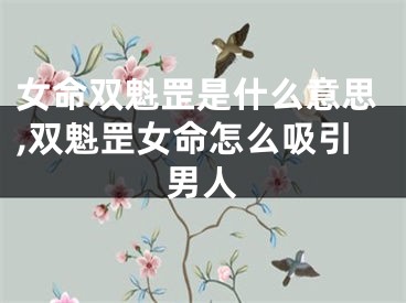 女命双魁罡是什么意思,双魁罡女命怎么吸引男人