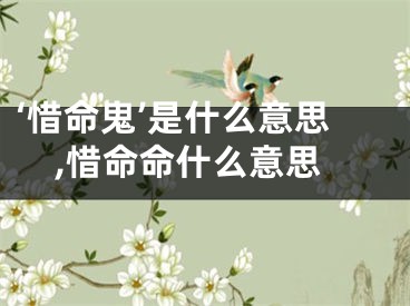 ‘惜命鬼’是什么意思,惜命命什么意思