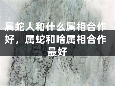属蛇人和什么属相合作好，属蛇和啥属相合作最好