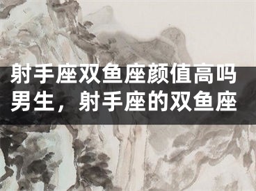 射手座双鱼座颜值高吗男生，射手座的双鱼座