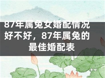 87年属兔女婚配情况好不好，87年属兔的最佳婚配表