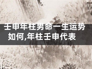 壬申年柱男命一生运势如何,年柱壬申代表