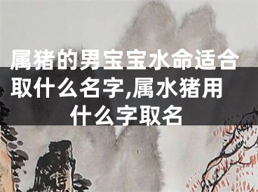 属猪的男宝宝水命适合取什么名字,属水猪用什么字取名