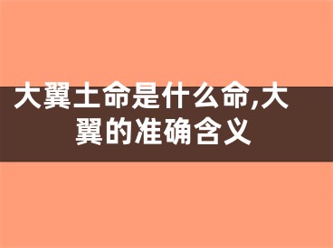 大翼土命是什么命,大翼的准确含义