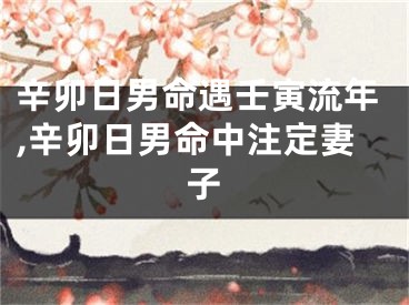 辛卯日男命遇壬寅流年,辛卯日男命中注定妻子