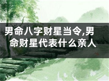 男命八字财星当令,男命财星代表什么亲人