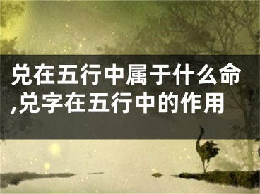 兑在五行中属于什么命,兑字在五行中的作用