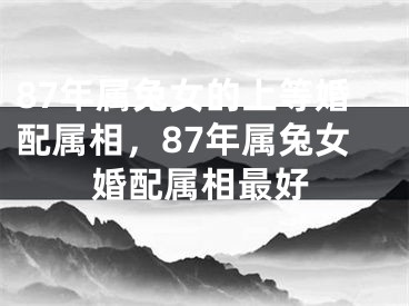 87年属兔女的上等婚配属相，87年属兔女婚配属相最好
