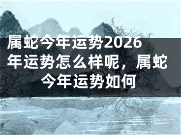属蛇今年运势2026年运势怎么样呢，属蛇今年运势如何