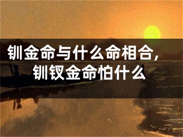 钏金命与什么命相合,钏钗金命怕什么