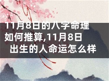 11月8日的八字命理如何推算,11月8日出生的人命运怎么样