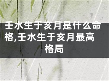 壬水生于亥月是什么命格,壬水生于亥月最高格局