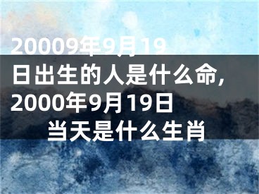 20009年9月19日出生的人是什么命,2000年9月19日当天是什么生肖