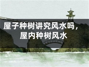 屋子种树讲究风水吗，屋内种树风水