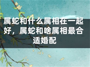 属蛇和什么属相在一起好，属蛇和啥属相最合适婚配