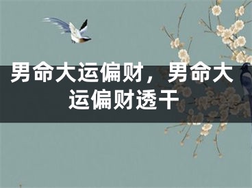 男命大运偏财，男命大运偏财透干