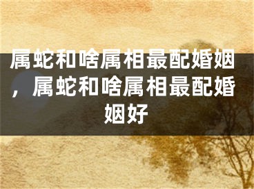 属蛇和啥属相最配婚姻，属蛇和啥属相最配婚姻好