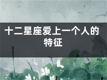 十二星座爱上一个人的特征