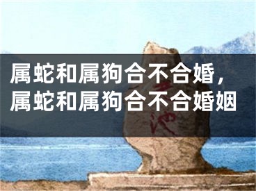 属蛇和属狗合不合婚，属蛇和属狗合不合婚姻