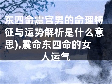 东四命震宫男的命理特征与运势解析是什么意思),震命东四命的女人运气